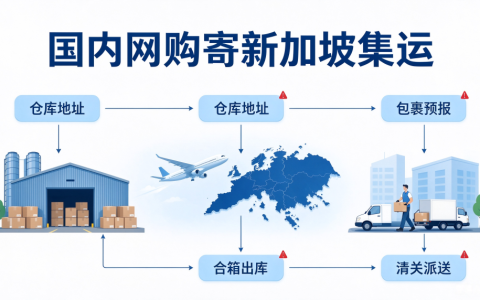 国内网购寄新加坡集运教程｜至诚集运新加坡转运流程